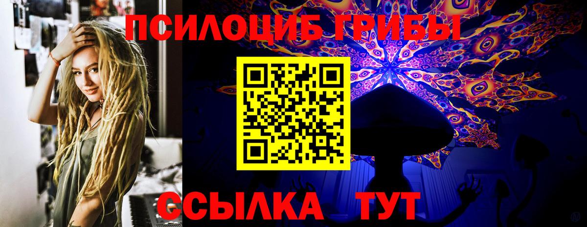 Псилоцибиновые грибы мицелий Новоуральск